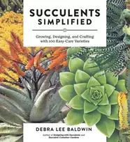 KNYGA Debra Lee Baldwin Succulents Simplified