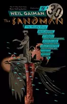 KNYGA Neil Gaiman Sandman Volume 9: The Kindly Ones 30th Anniversary Edition