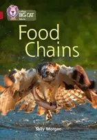 KNYGA Sally Morgan Food Chains