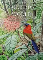 KNYGA Clive F Mann Sunbirds of the World, Sunbirds, Flowerpeckers, Spiderhunters and Sugarbirds, Second Edition