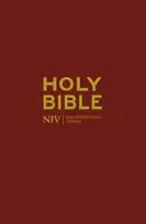 KNYGA New International Version NIV Popular Burgundy Hardback Bible