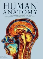 KNYGA Jane De Burgh Human Anatomy, An Illustrated Guide to the Structure and Function of the Body