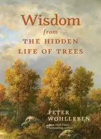 KNYGA Peter Wohlleben Wisdom from the Hidden Life of Trees