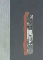 KNYGA Anne Carson Nox