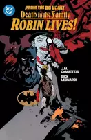 KNYGA Jim Starlin From the DC Vault: Death in the Family: Robin Lives!