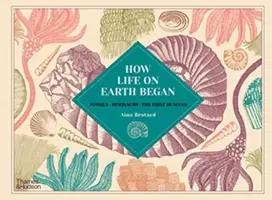 KNYGA Aina Bestard How Life on Earth Began, Fossils · Dinosaurs · The First Humans