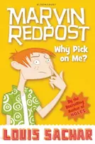 KNYGA Louis Sachar Why Pick on Me?
