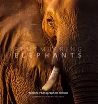 KNYGA Margot Raggett Remembering Elephants