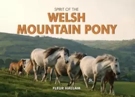 KNYGA Fleur Hallam Spirit of the Welsh Mountain Pony