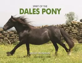 KNYGA Jackie Snowdon Spirit of the Dales Pony