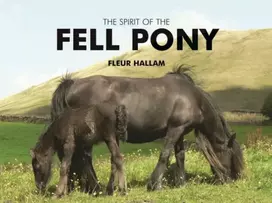 KNYGA Fleur Hallam Spirit of the Fell Pony