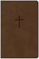 KNYGA C. S. B. Bibles CSB Bibles by Holman CSB Compact Bible, Brown LeatherTouch, Value Edition