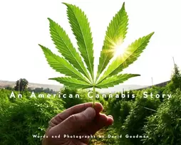 KNYGA David Goodman American Cannabis Story