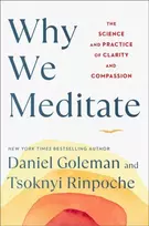 KNYGA Daniel Goleman Why We Meditate, The Science and Practice of Clarity and Compassion