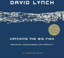 KNYGA David Lynch Catching the Big Fish, Meditation, Consciousness, and Creativity