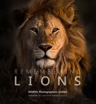 KNYGA Margot Raggett / Wildlife Photographers United Remembering Lions