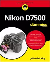 KNYGA Julie Adair King Nikon D7500 For Dummies