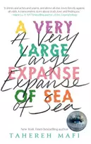 KNYGA Tahereh Mafi Very Large Expanse of Sea