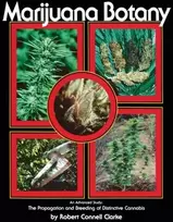 KNYGA Clarke Marijuana Botany