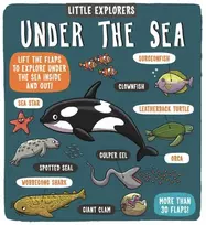 KNYGA Staff Dynamo Little Explorers: Under the Sea