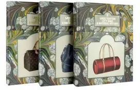 KNYGA Jean Claude Kaufmann Louis Vuitton City Bags: A Natural History