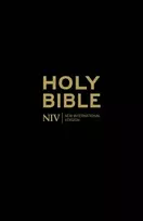 KNYGA New International Version Version New NIV Holy Bible: Classic Juodas edition