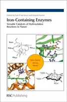 KNYGA Samuel P. de Visser Iron-Containing Enzymes