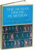 KNYGA Bookshop Human Figure in Motion
