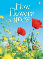 KNYGA Emma Helbrough How Flowers Grow