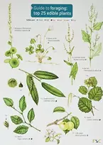 KNYGA Clare Cremona Guide to Foraging: Top 25 Edible Plants