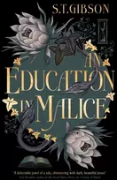 KNYGA S T Gibson Education in Malice, the sizzling and addictive dark academia romance everyone is talking about!