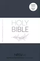KNYGA National Council of Churches NRSVue Holy Bible: New Revised Standard Version Updated Edition, British Text in Soft-tone Flexiback Binding
