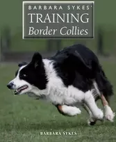 KNYGA Barbara Sykes' Training Border Collies
