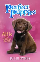 KNYGA Julie Sykes Perfect Puppies Book 1
