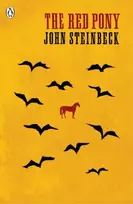 KNYGA John Steinbeck Raudona Pony