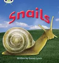 KNYGA Emma Lynch Bug Club Phonics - Phase 4 Unit 12: Snails