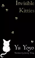KNYGA Yu Yoyo Invisible Kitties