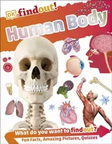 KNYGA Dk Publishing DKfindout! Human Body