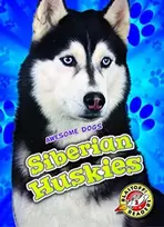 KNYGA Chris Bowman Siberian Huskies