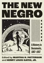 KNYGA Bookshop New Negro