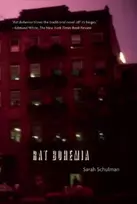 KNYGA Sarah Schulman Rat Bohemia