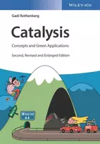 KNYGA Gadi Rothenberg Catalysis
