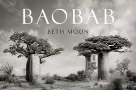 KNYGA Beth Moon Baobab