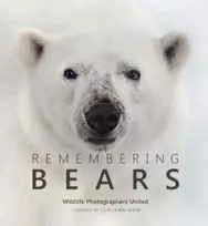 KNYGA Margot Raggett Remembering Bears