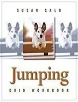 KNYGA Susan Salo Jumping Grid Workbook