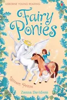 KNYGA Zanna Davidson Fairy Ponies Unicorn Prince