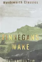 KNYGA James Joyce Finnegans Wake