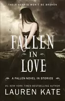 KNYGA Lauren Kate Fallen in Love