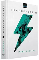 KNYGA Mary Shelley Frankenšteinas