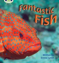 KNYGA Emma Lynch Bug Club Phonics - Phase 4 Unit 12: Fantastic Fish